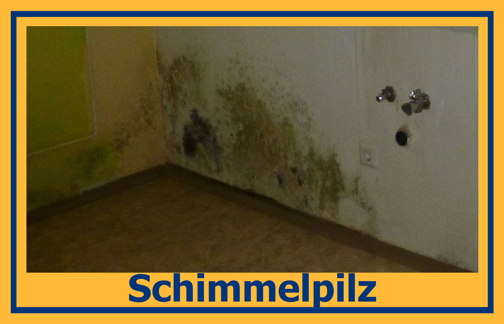 Schimmelpilz