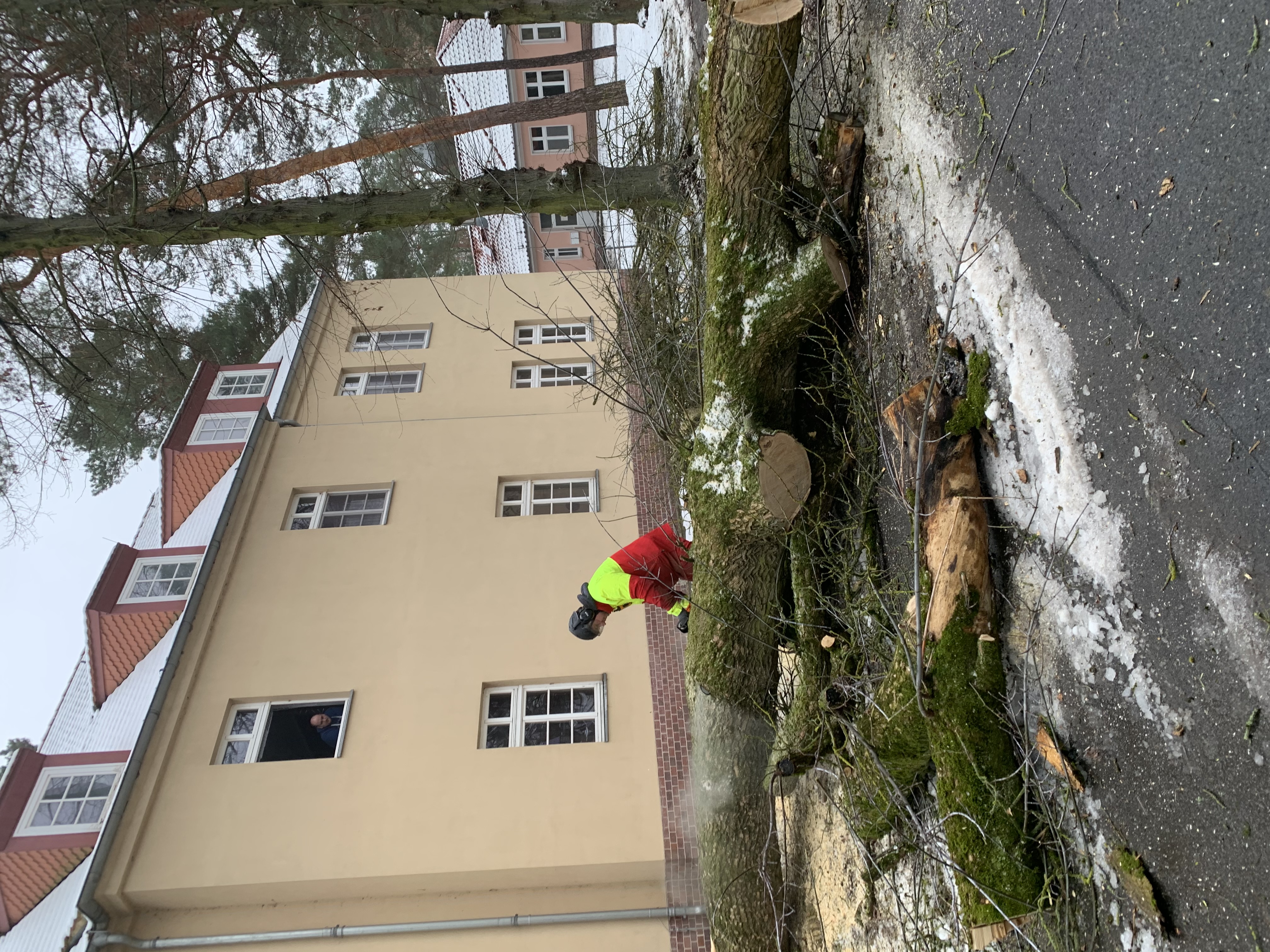 Baumarbeiten